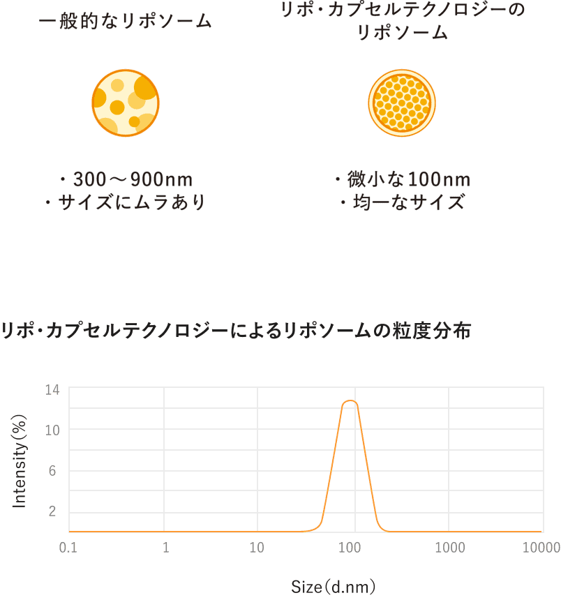 ภาพไลโปโซมคุณภาพสูงของญี่ปุ่น - แผนภาพขนาดและอัตราการดูดซึมวิตามินซี